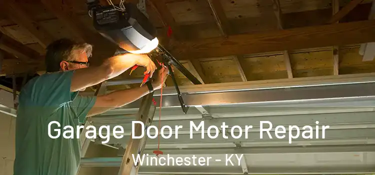  Garage Door Motor Repair Winchester - KY