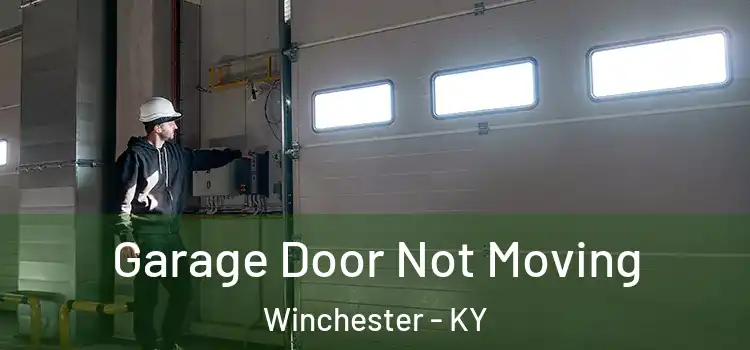  Garage Door Not Moving Winchester - KY