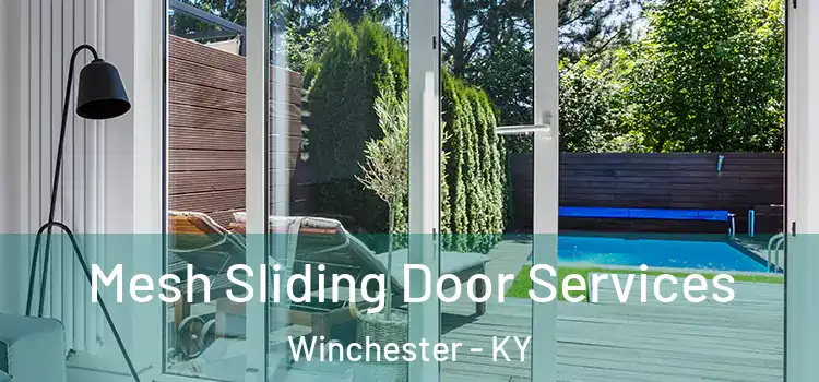Mesh Sliding Door Services Winchester - KY