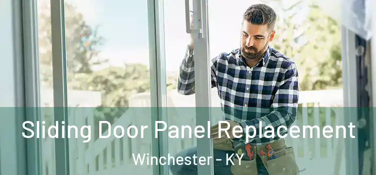  Sliding Door Panel Replacement Winchester - KY